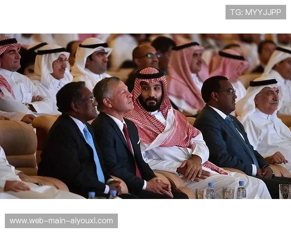 沙特资本关注意甲投资,财务公平法案成焦点 沙特资本关注意甲投资,财务公平法案成焦点